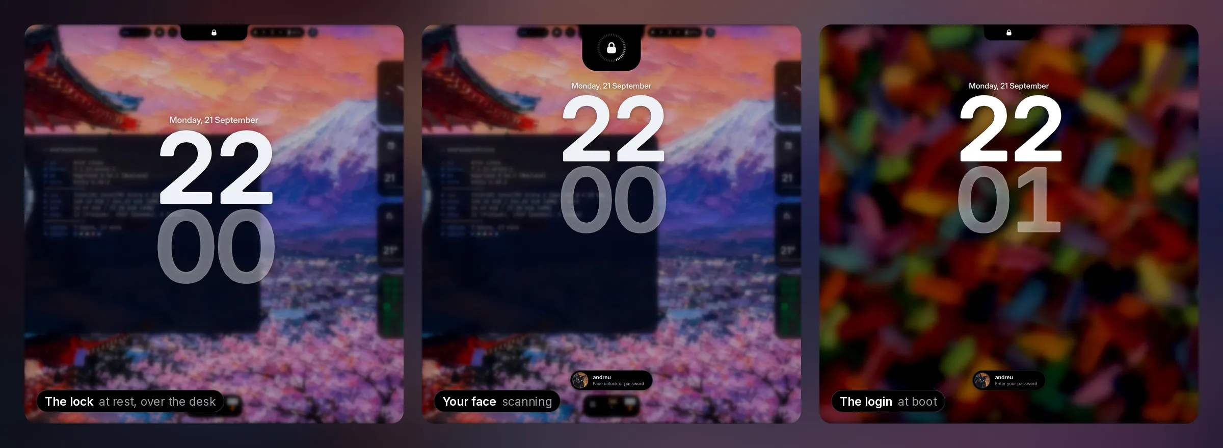 The lock screen resting on its clock over the blurred desk, the island grown round the padlock while it looks for a face, and the SDDM login screen over a blurred painting of brush strokes, with the same island, clock and pill