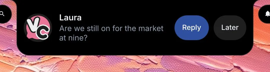 The island opened into a notification from Vesktop: Laura's picture with the Vesktop mark, Are we still on for the market at nine?, and two buttons at the end, Reply in the accent and Later.